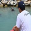 باجة : تواصل البحث عن طفل مفقود في شط الزوارع منذ 4 أيام