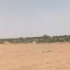 سليانة : لأول مرة بموجب أمر قضائي و بالقوة العامة إسترجاع أرض غابية تمسح 7 هكتارات
