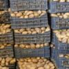 نابل: حجز أكثر من 70 طنّا من البطاطا بمسالك توزيع غير قانونية منذ بداية جويلية