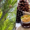 أسباب إرتفاع أسعار الزقوقو