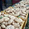غدا … وزارة التجارة تعلن عن ضبط الأسعار القصوى لمادة البطاطا