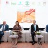 اليوم الوطني لتقييم موسم الحبوب: حصيلة إيجابية واستعدادات مبكرة لموسم 2025-2026