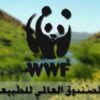 الصندوق العالمي للطبيعة في شمال إفريقيا يتعهد بترميم ‘مخثات دار فاطمة’