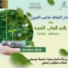 حاجب العيون : دار الثقافة تحتفل بالعيد الوطني للشجرة