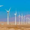 قريبا : بعث أول محطة لإنتاج طاقة الرياح بالجنوب