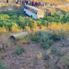 الجزائر: وفاة 6 أشخاص وإصابة 18 إثر سقوط حافلة في منحدر بقسنطينة