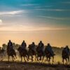 المهرجان الدولي للصحراء بدوز من 19 إلى 22 ديسمبر